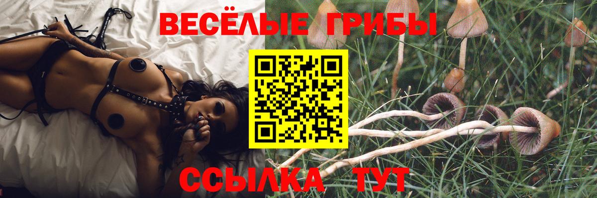 Кубинка  Галлюциногенные грибы GOLDEN TEACHER  Псилоцибиновые грибы мицелий  Вход с VPN 
