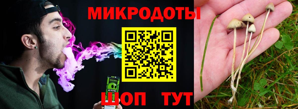 Псилоцибиновые грибы ЛСД Кубинка